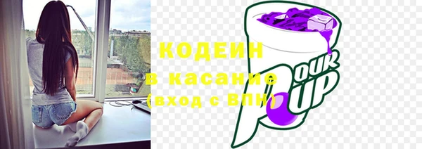 стафф Новозыбков