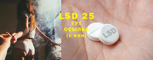 стафф Новозыбков
