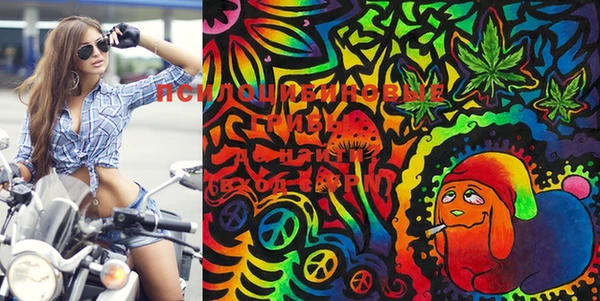 марки lsd Алексеевка