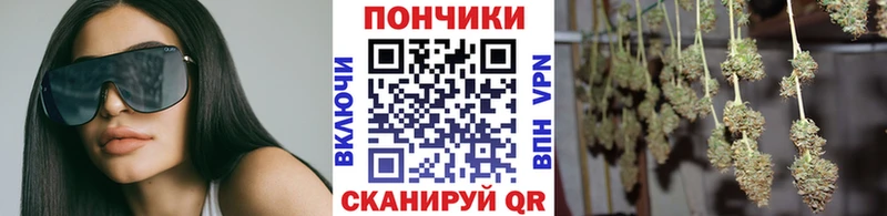 Канабис конопля  shop официальный сайт  Отрадная 